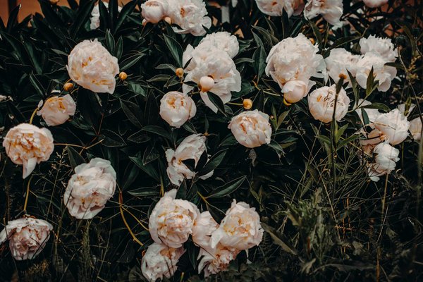 Wat zijn de beste manieren om je keuken in te pakken?