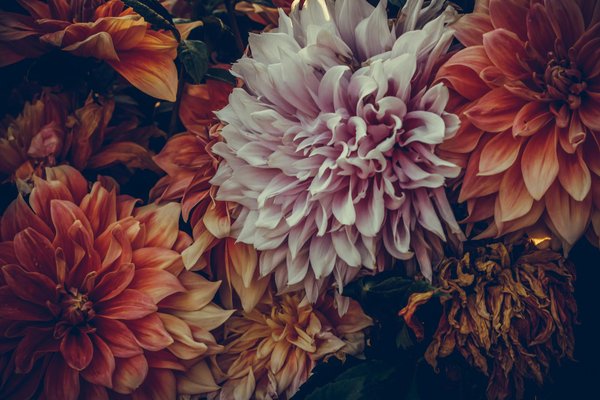 Welke zwembadverwarmingsopties zijn het meest energiezuinig?